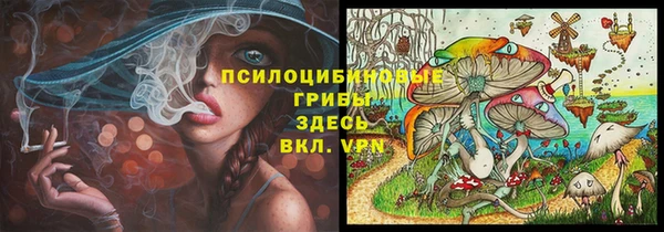 трава Куйбышев