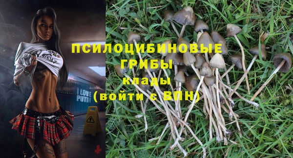 трава Куйбышев