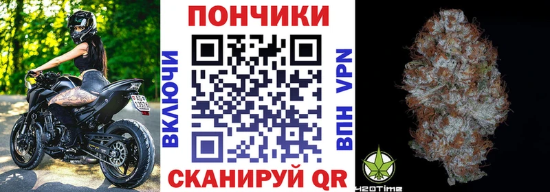 Конопля планчик  Купить закладки  Казань 
